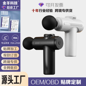 Massage Gun